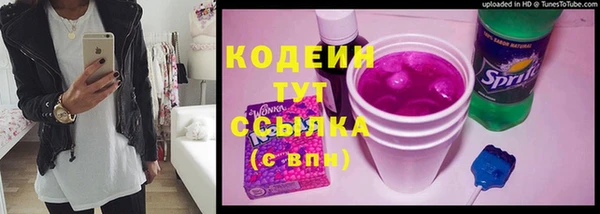 дмт Дмитровск