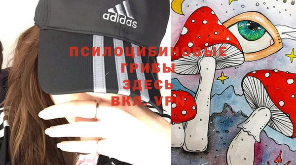 метамфетамин Дмитров