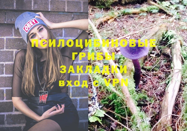 дмт Дмитровск