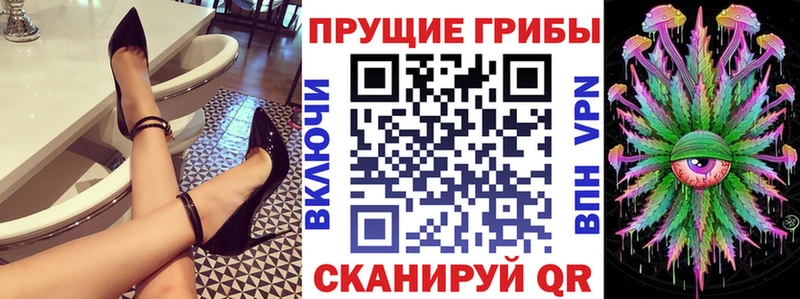 Псилоцибиновые грибы MAGIC MUSHROOMS  Купить  Кимры 